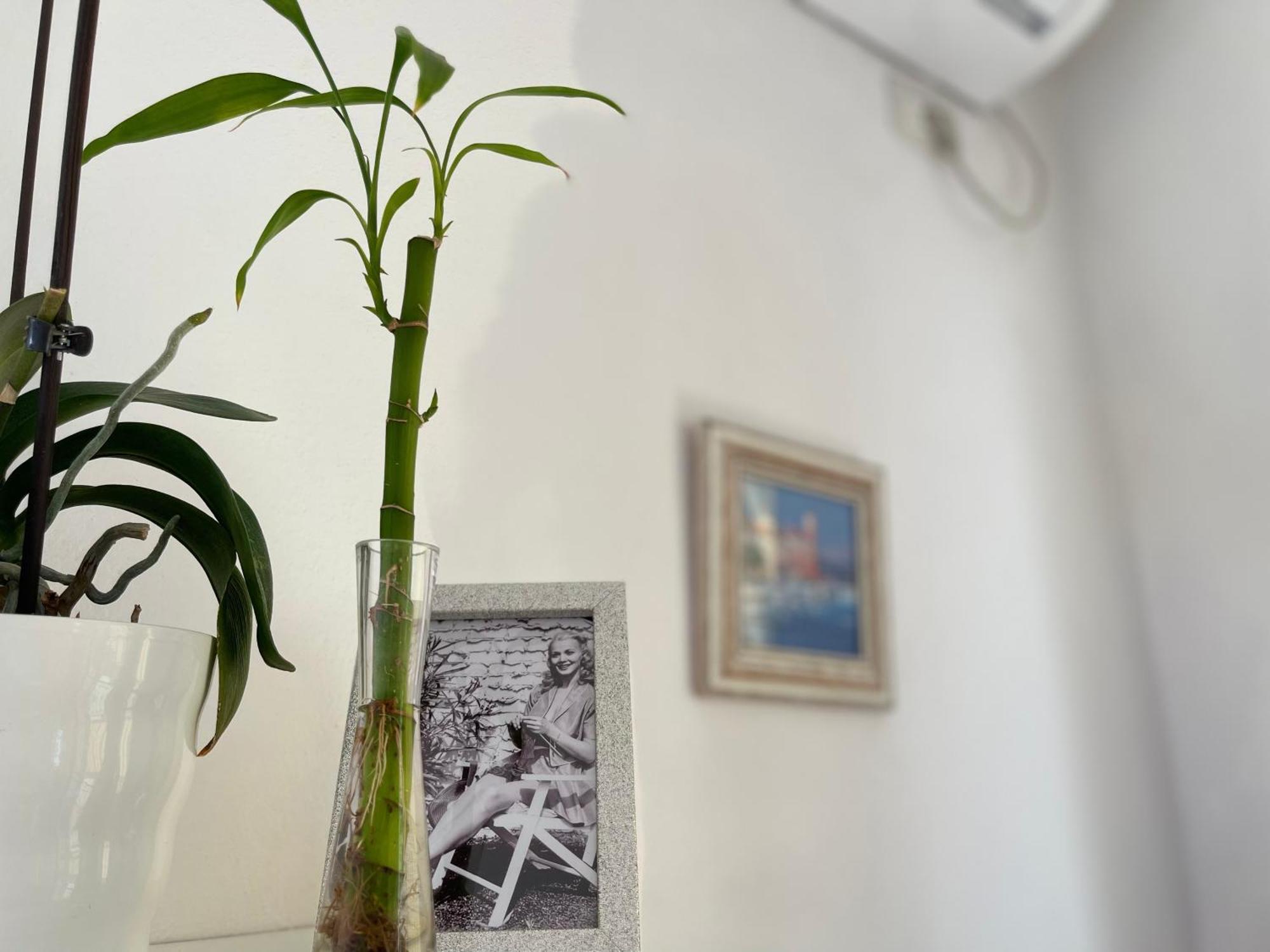 Kristi Apartment 2 Min To Sea Netflix & Espresso Station Sarande Luaran gambar